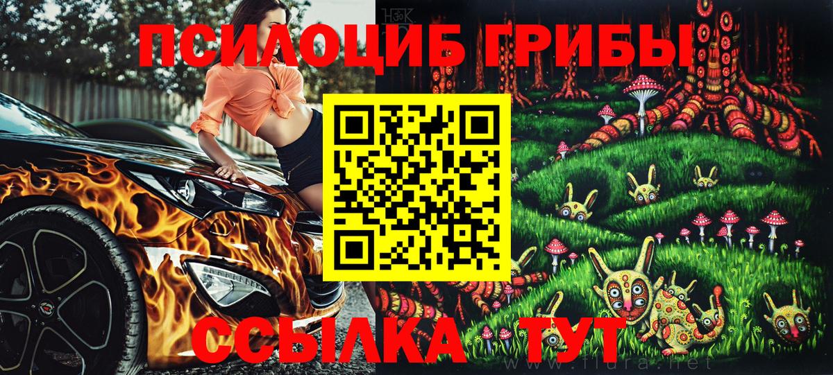 Псилоцибиновые грибы MAGIC MUSHROOMS  Вход с VPN  Буйнакск 